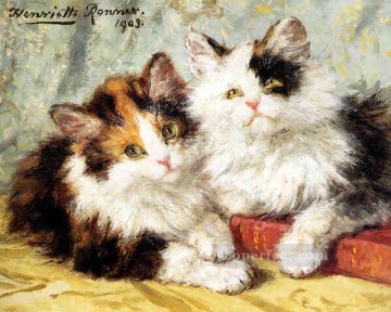 am050D animal cat Oil Paintings